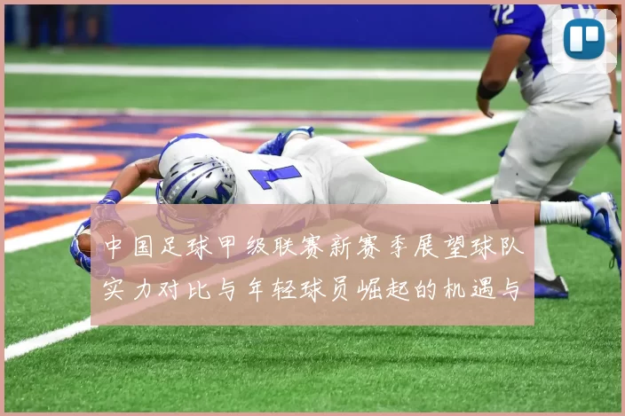 中国足球甲级联赛新赛季展望球队实力对比与年轻球员崛起的机遇与挑战