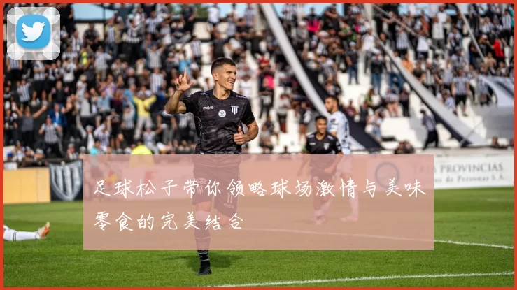 足球松子带你领略球场激情与美味零食的完美结合