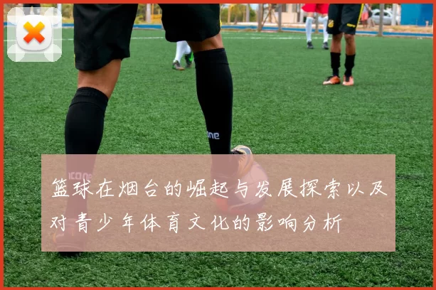 篮球在烟台的崛起与发展探索以及对青少年体育文化的影响分析